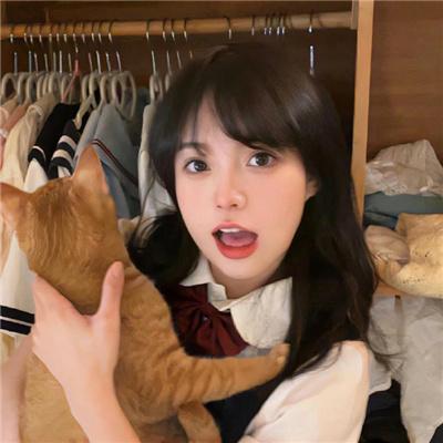 偷情网站泄密事件:性、谎言与丑闻